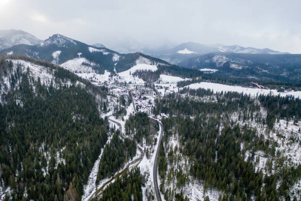 istock in snow covered forest, top down aerial view 1196999533