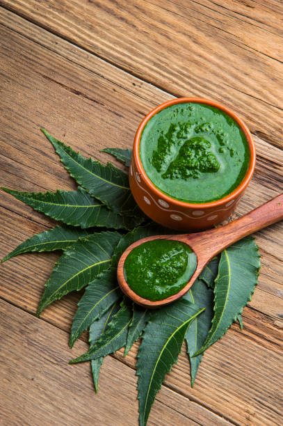 istock Medicinal Neem leaves with paste on wooden background 1197003623