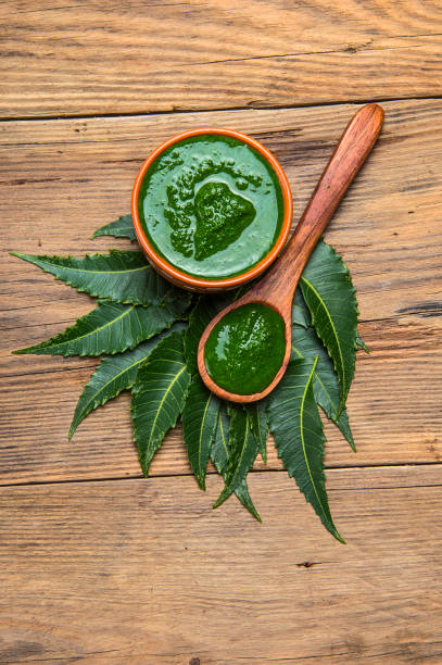 Medicinal Neem leaves with paste on wooden background stock photo