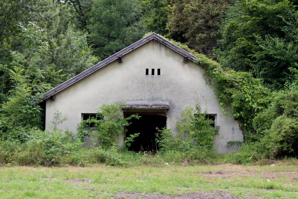 istock Old dilapidated military barrack building completely overgrown with crawler plants and forest vegetation at abandoned military complex 1197005552