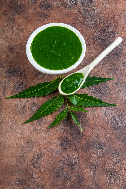 hojas medicinales de neem con pasta sobre fondo de piedra - fruit freshness tree foods and drinks fotografías e imágenes de stock