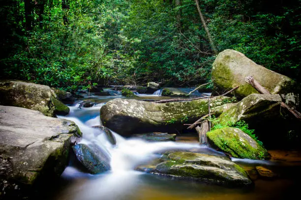 Photo of Jungle Babbling Brook in Thailand