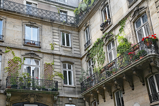 Paris, typical old apartment building with wrought iron balcony railings and planters