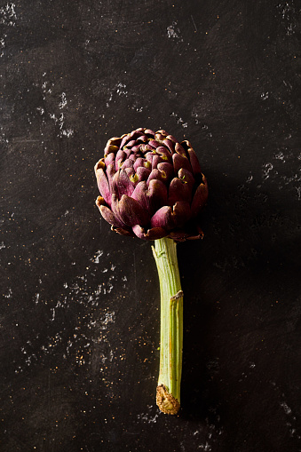 Artichoke is placed on a black background.