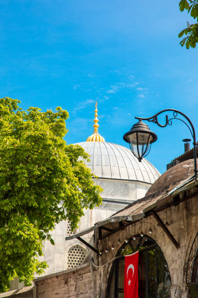 istock Mosque dome under the blue sky with trees in Sultanahmet Istanbul Turkey 1197012930