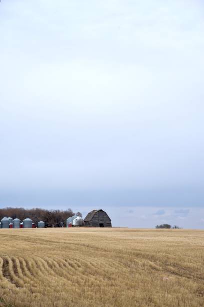 istock prairie farm on a stormy day 1197014740
