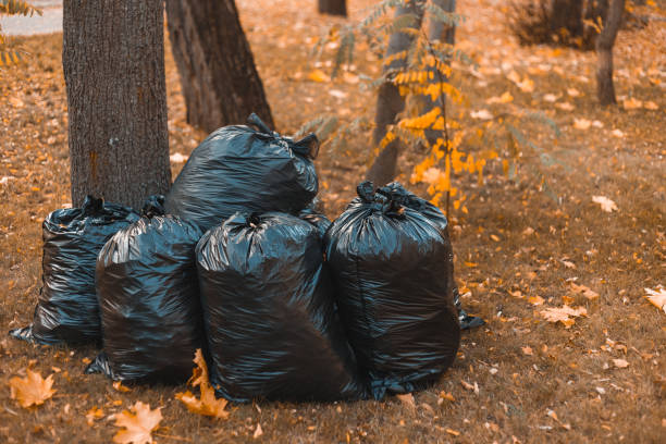 istock Plastic black trash bags outdoor in autumn 1197017701