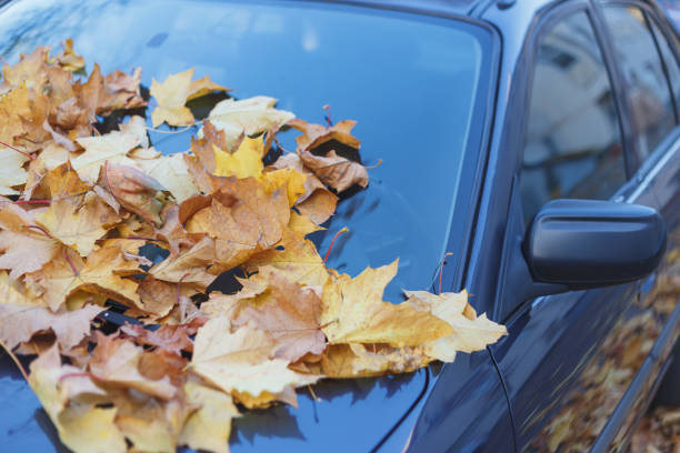 istock Car filled up by autumn leaves. 1197017706