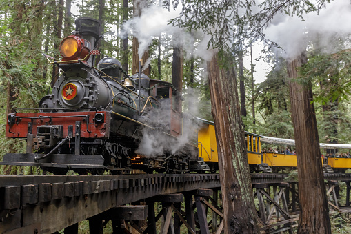 Felton, California - December 29, 2019: Roaring Camp' Dixiana Shay Steam Train over Trestle Crossing Redwoods in Santa Cruz Mountains.