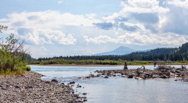 istock Yukon River nest Whitehorse 1197020738