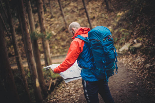 istock Man hiking in Japanese forest 1197022048
