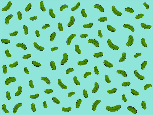 ilustrações de stock, clip art, desenhos animados e ícones de pickle doodles - cucumber pickled