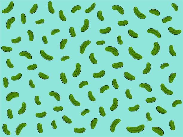 Pickle doodles A vector illustration of doodled pickles. pickle stock illustrations