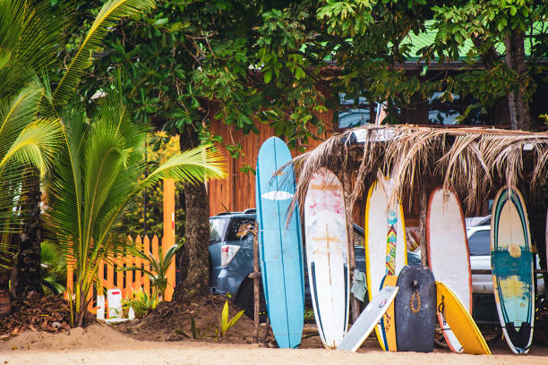 Surf Boards - Playa Cocles - Limon Province - Costa Rica Playa Cocles, Limon Province, Costa Rica 2017-10-25: Surf boards lined up under grass hut. limon province photos stock pictures, royalty-free photos & images
