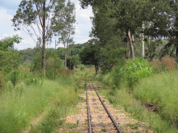 istock Way to the train line. Surrounded by bushes, trees and nature 1197025775