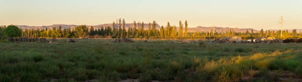 istock San Rafael Argentina Landscape 1197028709