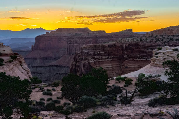 istock Canyonlands National Park 1197028958