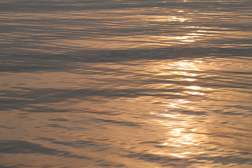 The splash on the water surface at sunset. Calm mood.