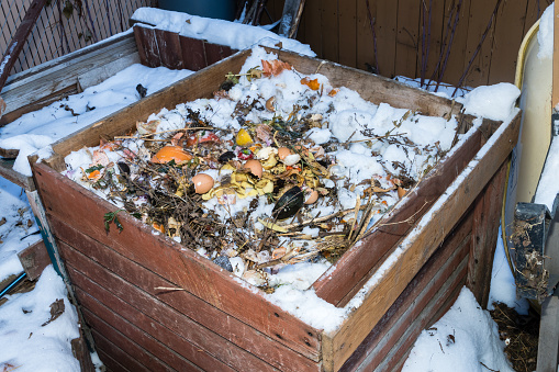 Collection of food waste in winter time for composting