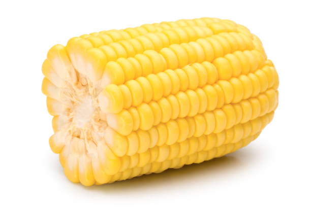 istock Fresh sweet corn on a white background with clipping path. 1197031758
