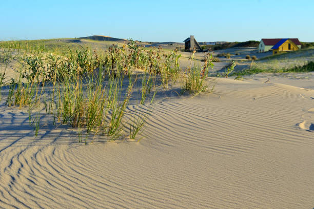 Dunes of Valizas, Rocha, Uruguay