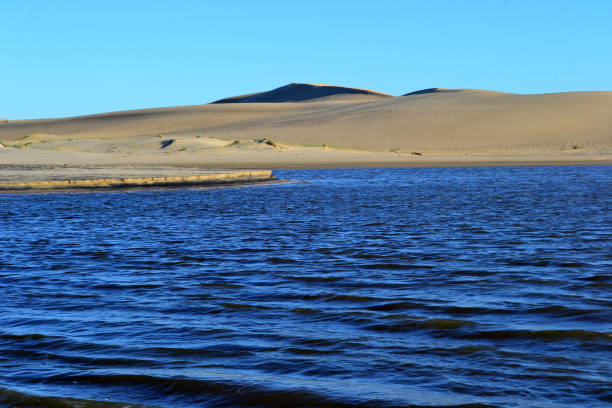Dunes of valizas, Rocha, Uruguay
