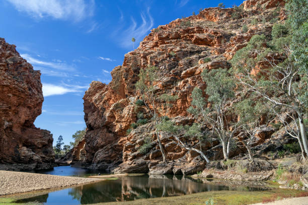 istock Water, Red Cliffs, and Gum Trees, Northern Territory, Australia 1197033434