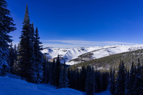 istock Vail Colorado Back Bowls View in Winter 1197035912