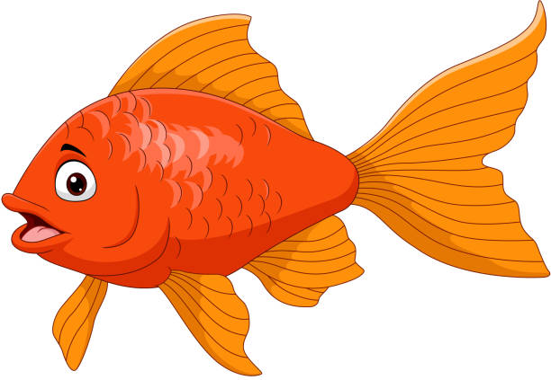 Cartoon golden fish isolated on white background Vector illustration of Cartoon golden fish isolated on white background cartoon of fish with lips stock illustrations