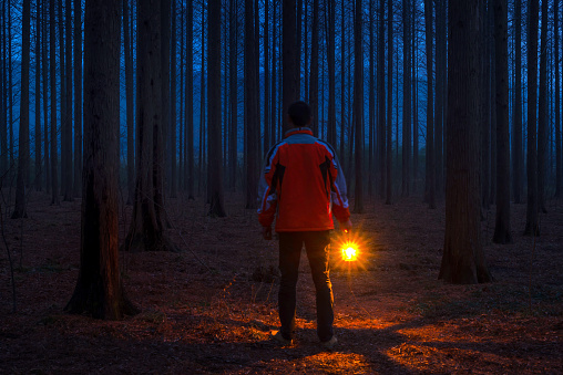 Explorer walking in the forest with camping light