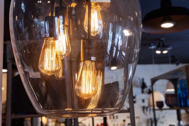 Decorative lightbulbs hanging in shop
