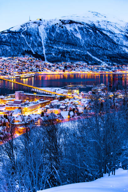 istock Tromso at night Northern Norway 1197052593