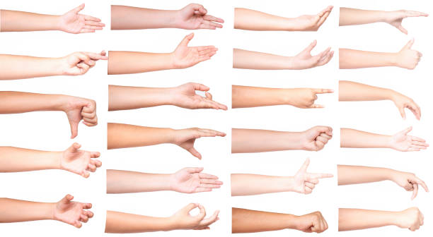 istock Set of human hand in multiple gesture isolate on white background 1197053246