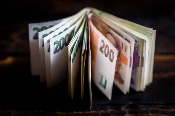Czech paper money in brown leather wallet on wood table