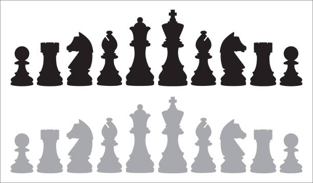 Two Rows Of Chess Pieces Vector illustration of two rows of chess pieces on a white background. chess stock illustrations