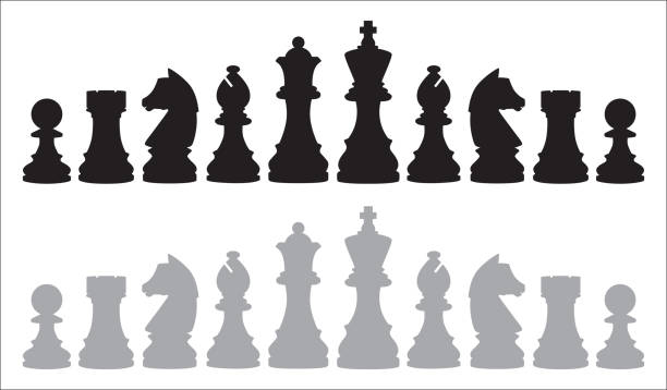 Two Rows Of Chess Pieces Vector illustration of two rows of chess pieces on a white background. knight chess piece stock illustrations