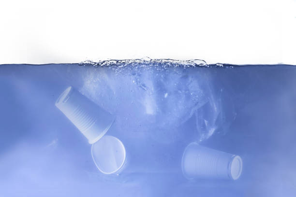 istock the plastic float underwater in ocean, waterline, environment water pollution ecosystem 1197059783
