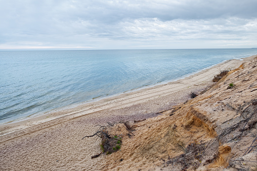 Sea shore, dune sand cliff. Baltic sea coast.