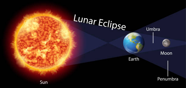 Diagram showing lunar eclipse with earth and sun Diagram showing lunar eclipse with earth and sun illustration galaxy diagram stock illustrations