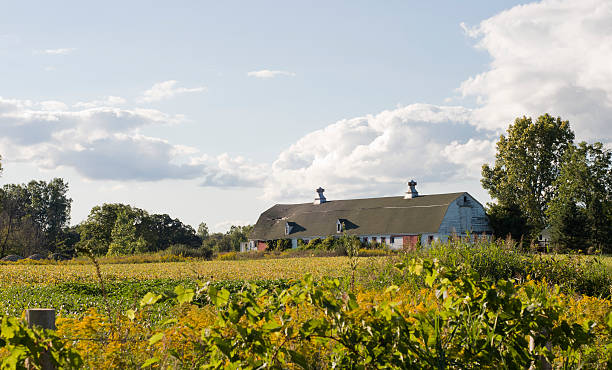 istock Michigan Farm 119706666