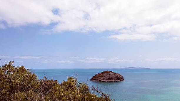 Trees in the foreground, view out to Bluff Rock on the Capricorn Coast of Australia