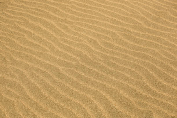 istock Close-Up Of Sand Background Texture 1197067558