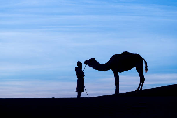 istock Bedouin and camel on way through sandy desert Beautiful sunset with caravan on Sahara, Morocco Desert with camel and nomads Silhouette nomad man with dramatic sky Picturesque background nature concept 1197067594