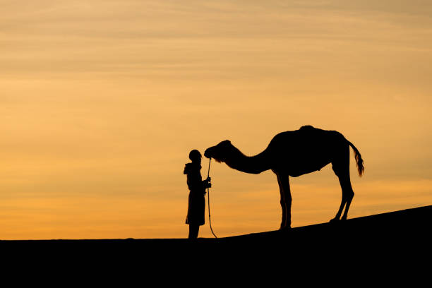 istock Bedouin and camel on way through sandy desert Beautiful sunset with caravan on Sahara, Morocco Desert with camel and nomads Silhouette nomad man with dramatic sky Picturesque background nature concept 1197067895
