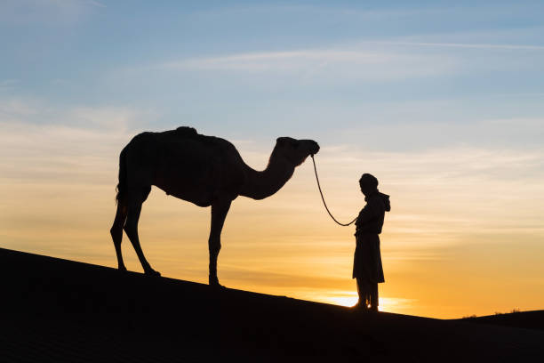 istock Bedouin and camel on way through sandy desert Beautiful sunset with caravan on Sahara, Morocco Desert with camel and nomads Silhouette nomad man with dramatic sky Picturesque background nature concept 1197067907