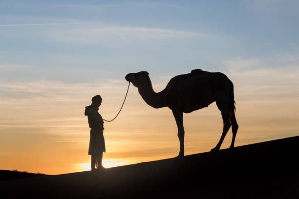 istock Bedouin and camel on way through sandy desert Beautiful sunset with caravan on Sahara, Morocco Desert with camel and nomads Silhouette nomad man with dramatic sky Picturesque background nature concept 1197067964