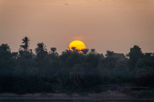 Large sun at sunset behind palm trees beside the Nile river in Egypt