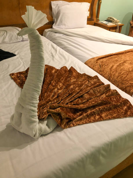 istock Towel origami beautiful peacock 1197068564