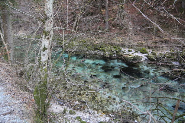 istock Slovenia, Vintgar Gorge 1197071399