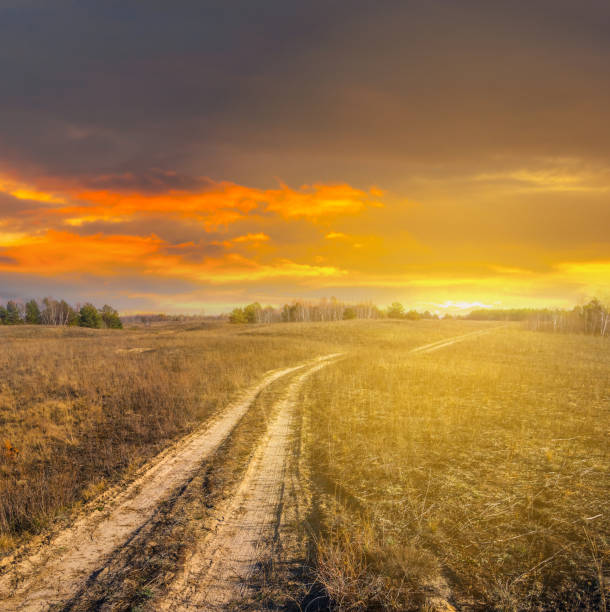 sucha jesienna preria o zachodzie słońca - dry landscape panoramic grass zdjęcia i obrazy z banku zdjęć